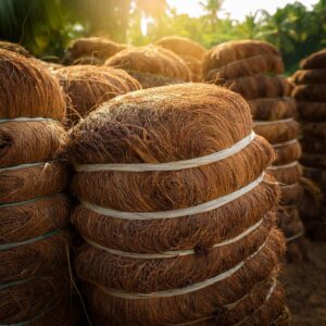 coir fibre